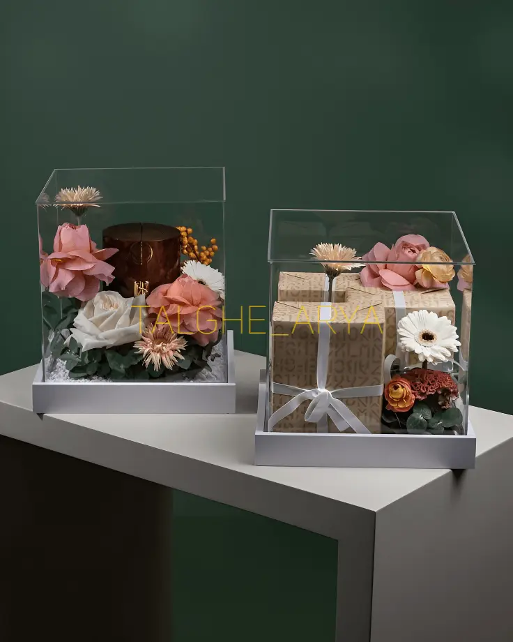 باکس پلکسی چیست و چه کاربردهایی دارد؟ راهنمای جامع انتخاب و خرید