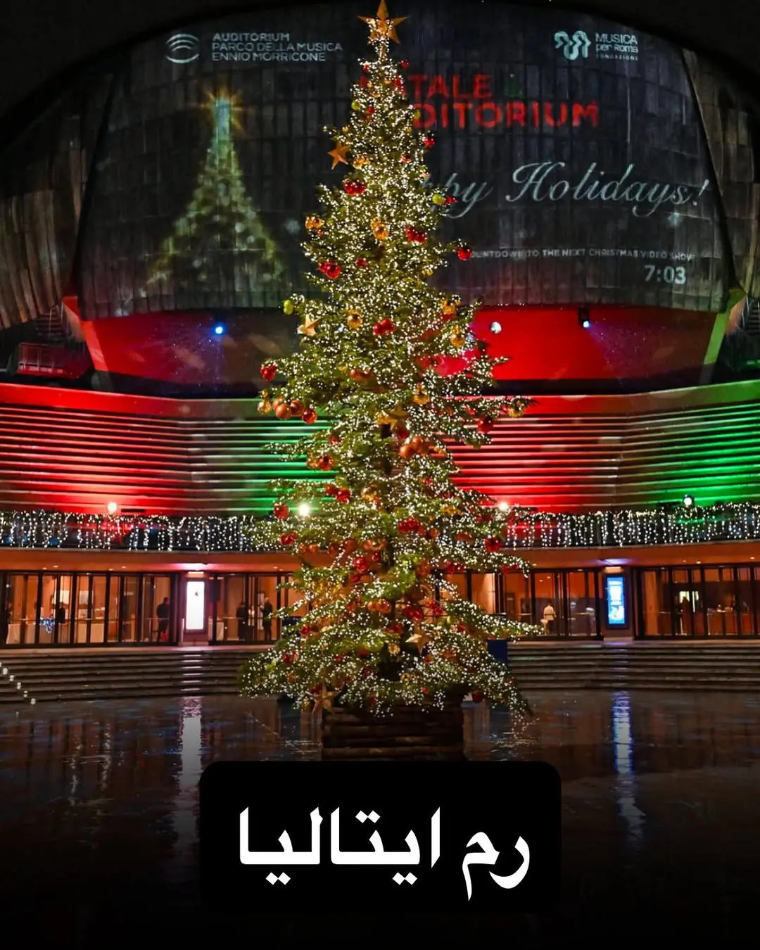 درخت کریسمس