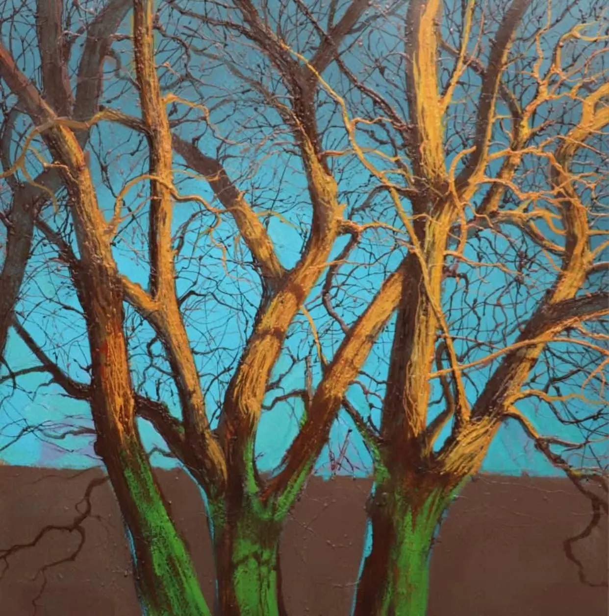 photo_2025-11-15_12-42-25