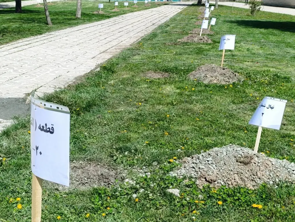 IMG_20260415_133818_729