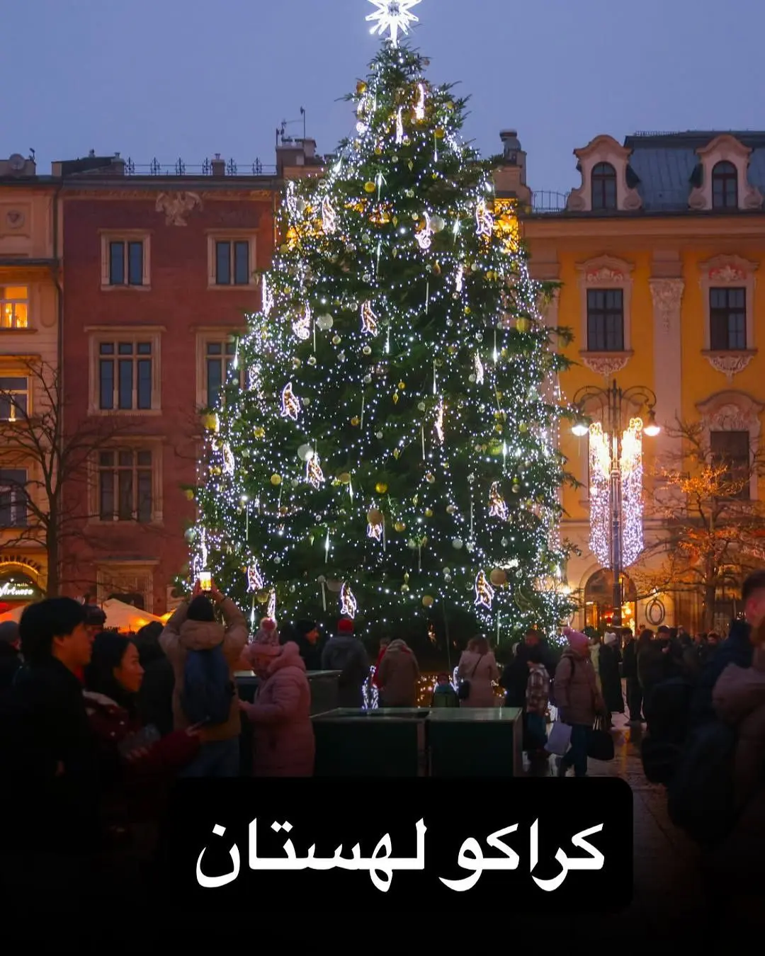 درخت کریسمس