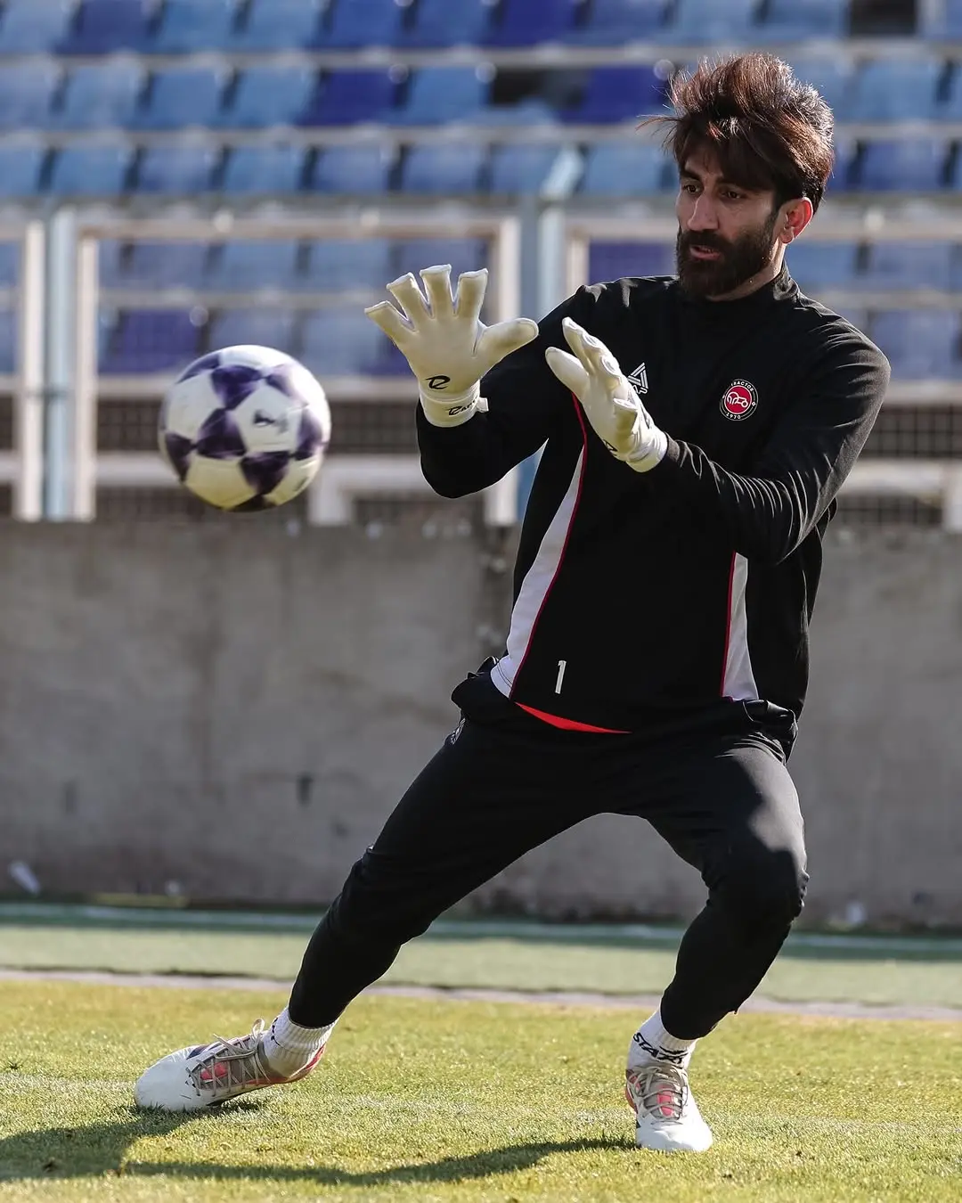 علیرضا بیرانوند