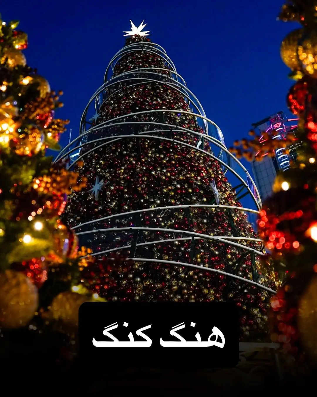 درخت کریسمس