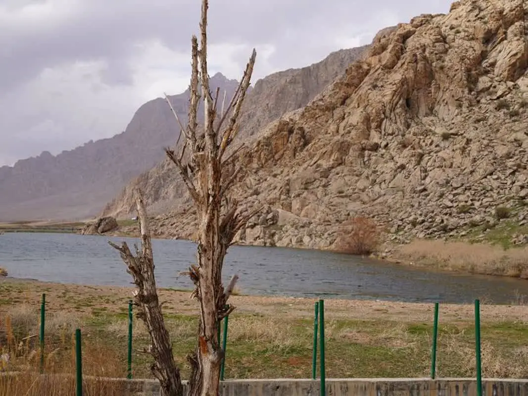 IMG_20260214_152404_752