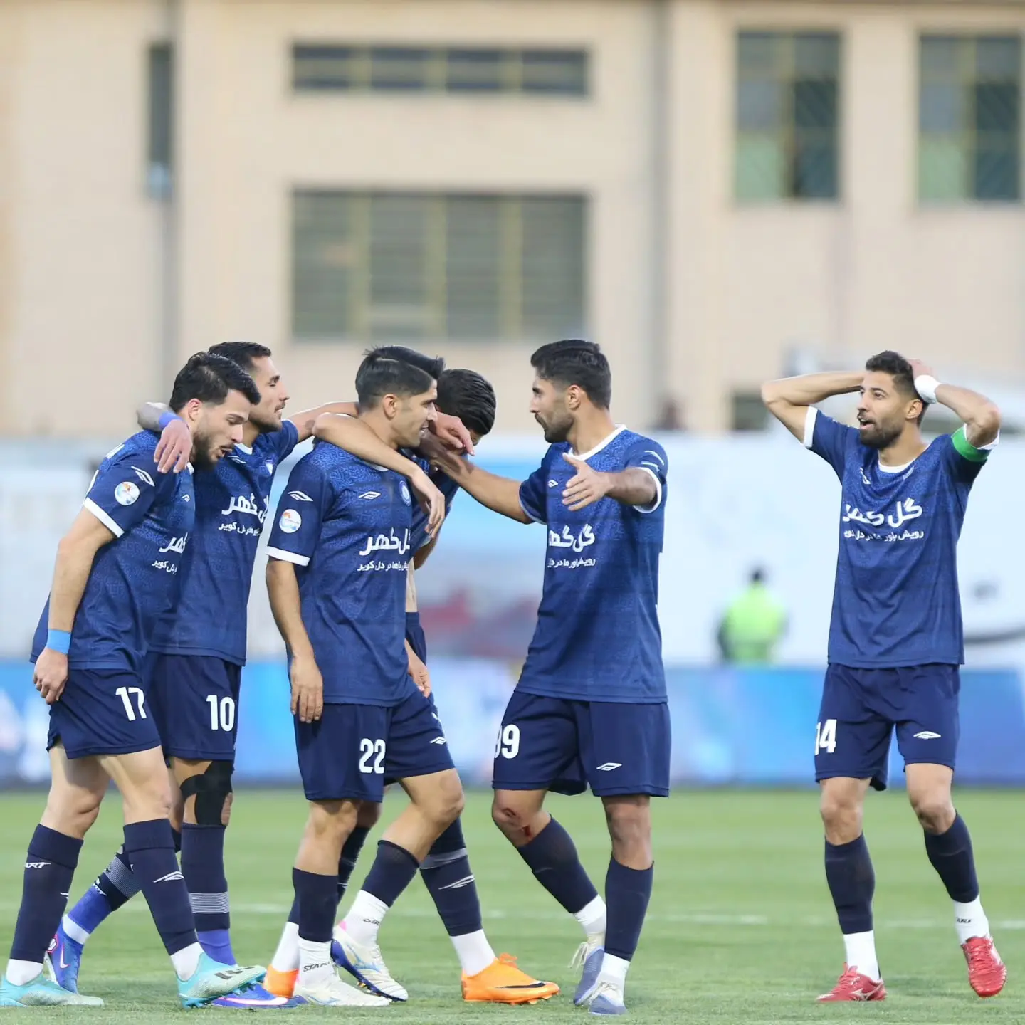 پویا پورعلی