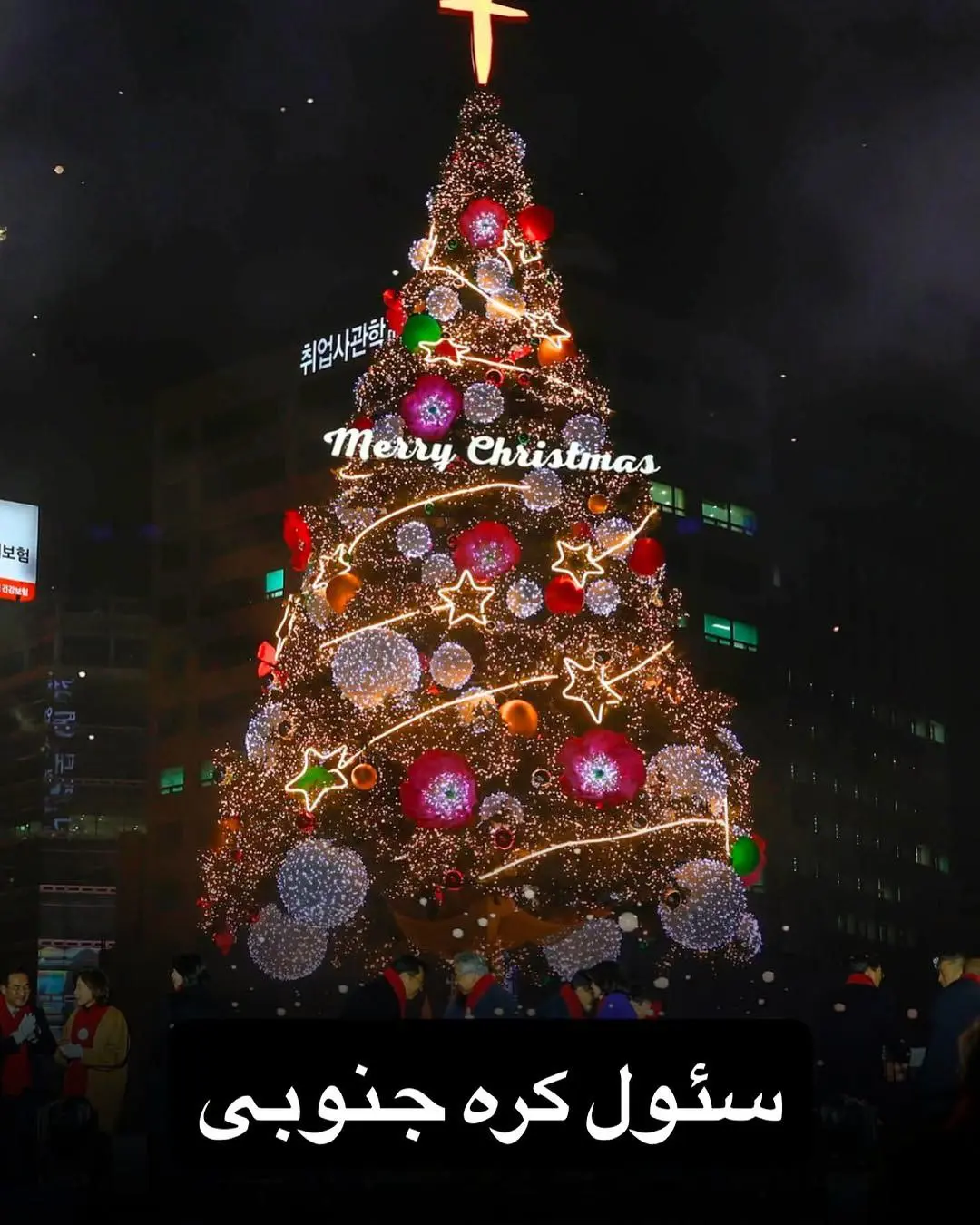 درخت کریسمس