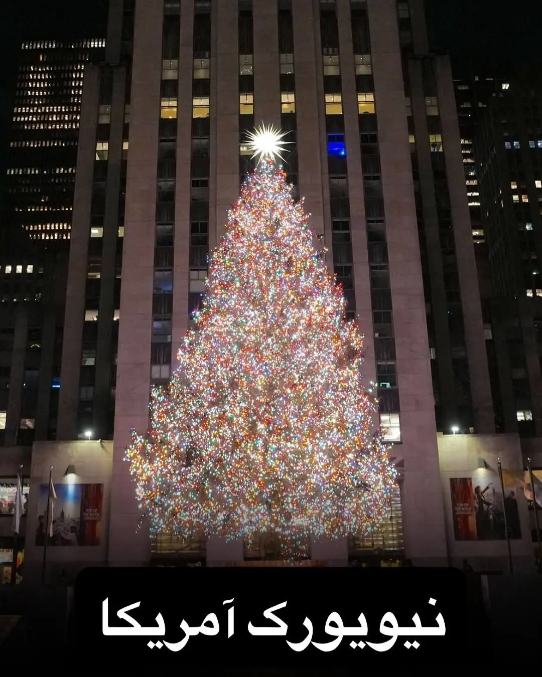 درخت کریسمس