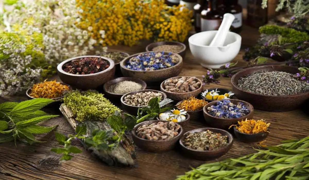 اصول طلایی تغذیه در طب سنتی برای سلامت پایدار