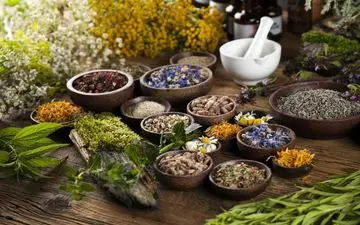 اصول طلایی تغذیه در طب سنتی برای سلامت پایدار