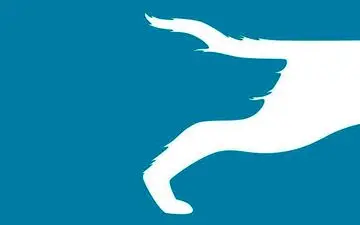 شخصیت شناسی تصویری| با دقت به تصویر نگاه کن و بگو چه میبینی؟