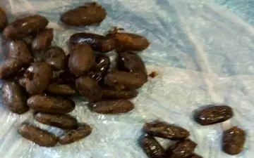 خرده فروش موادمخدر در سیروان دستگیر شد