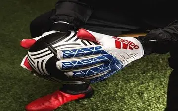 چرا دروازبان ها مقدس اند؟