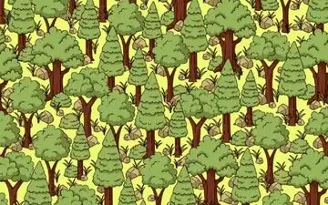 اگر فکر میکنی تمرکز داری این تست رو حل کن/ جوجه تیغی کجای تصویر است؟