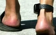 دستگیری موبایل‌قاپان پابنددار و اوباش عربده‌کش در تهران