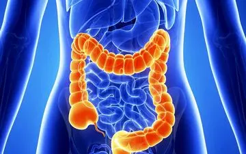 علائم روده تحریک پذیر را با 5 راه طبیعی به حداقل برسانید