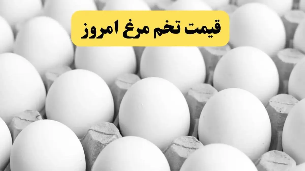 قیمت روز تخممرغ در تهران | نرخ هر دانه و شانه ۱۰ شهریور ۱۴۰۴