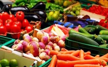  واردات 6 محصول کشاورزی به عراق ممنوع شد