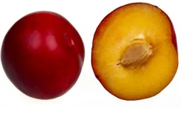 از فواید شگفت انگیز آلو برای سلامتی خبر دارید؟

