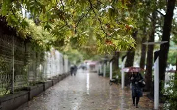 هواشناسی ایران۱۴۰۳/۴/۱۹ | هوای ایران امروز چگونه است؟