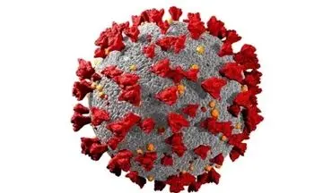 آمار چشمگیر مرگ و میر ناشی از کووید-۱۹ در افراد مبتلا به HIV