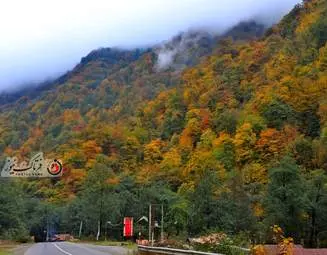 گزارش تصویری | گیلان؛ مقصدی رویایی برای عاشقان پاییز