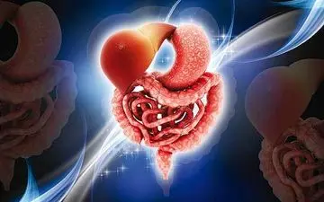 "رفلاکس" مهمان ناخوانده عیددیدنی‌ها/ راهکارهای فرار از مشکلات گوارشی در نوروز