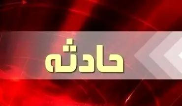 حریق انبار شرکت فرآورده‌های گوشتی در زرقان ۷ نفر را مصدوم کرد