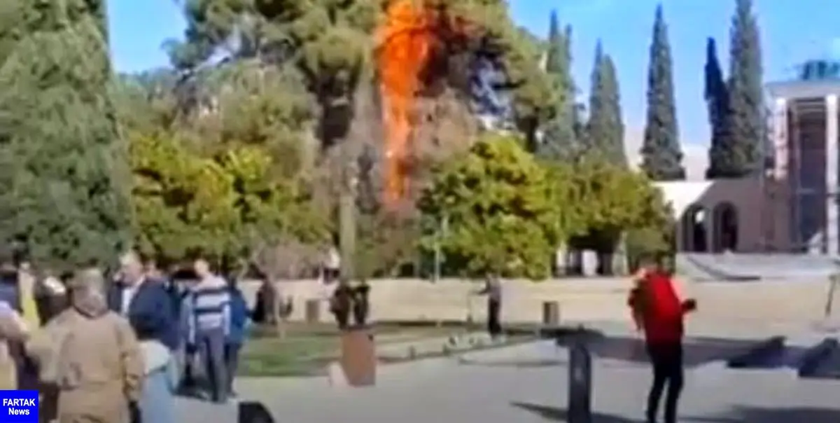 آتش گرفتن 2 درخت کهنسال در آرامگاه سعدی
