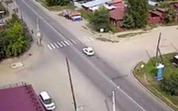  سگ باهوش صاحبش را از مرگ حتمی نجات داد