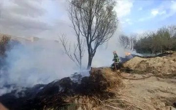  فوری / دانشکده مهندسی برق و کامپیوتر دانشگاه تبریز طعمه حریق شد 