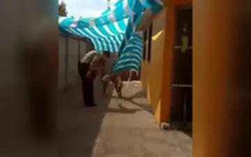  واکنش دیدنی یک سگ به پلیسی که نجاتش داد