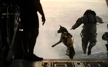 قطر و آمریکا تمرین نظامی مشترک برگزار کردند