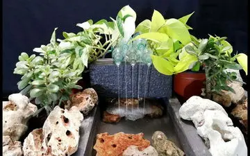 آبنمای خانگی با بطری نوشابه: طرز ساخت یک آبنمای زیبا و کاربردی در ویدئویی کوتاه | فیلم