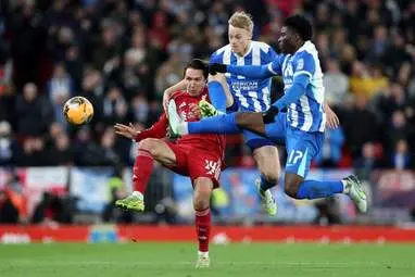 IMG_20260215_024406_466