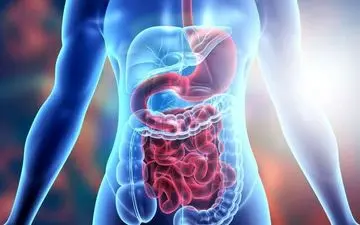 روده چرا مغز دوم است؟
