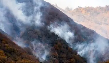 بخشی از عرصه‌های جنگلی ساری در آتش سوخت