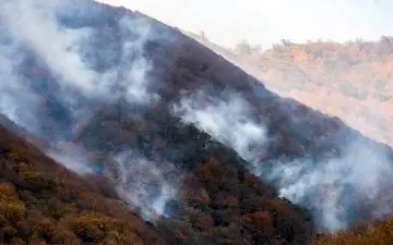 بخشی از عرصه‌های جنگلی ساری در آتش سوخت