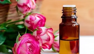 کشفی شگفت‌انگیز: بوی گل رز مغز را از زوال نجات می‌دهد!