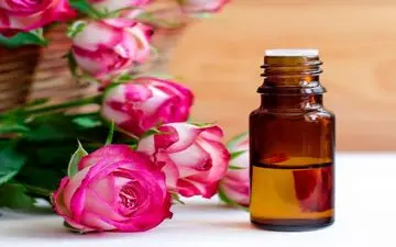 کشفی شگفت‌انگیز: بوی گل رز مغز را از زوال نجات می‌دهد!