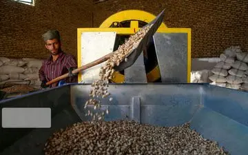 صادرات بیش از ۲۱ هزار تن پسته در سه ماه نخست ۹۹