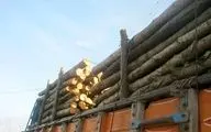 فرمانده انتظامی بهارستان خبر داد؛ کشف ۶ تن چوب جنگلی قاچاق در گلستان