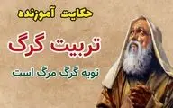 نیک‌خواهی عابد و پاسخ گرگ| حکایت توبه گرگ، مرگ است