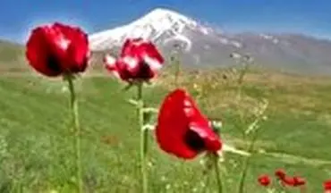 دماوند زیبا از منظر کاروانسرای قصر بهرام