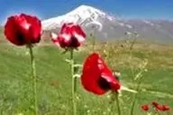 دماوند زیبا از منظر کاروانسرای قصر بهرام