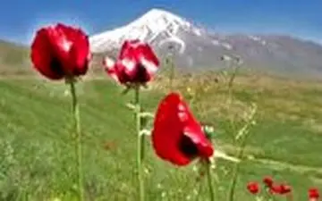 دماوند زیبا از منظر کاروانسرای قصر بهرام