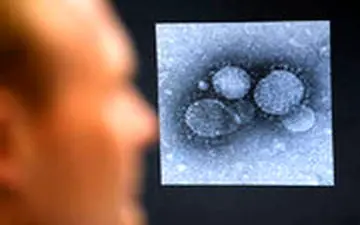 احتمال دوباره گیری کرونا در افراد چند درصد است؟