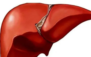 ناگفته های خطرناک درباره کبد و قند خون که تا الان نشنیده اید