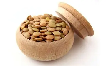 مواد حاوی کولین پیاده‌روی اربعین را آسان می‌کند