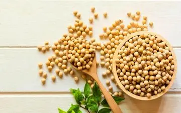 تاثیرات پروتئین گیاهی سویا بر بدن