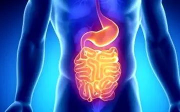 یک سوال مهم| چرا ورزش‌ برای سلامتی روده خوب است؟

